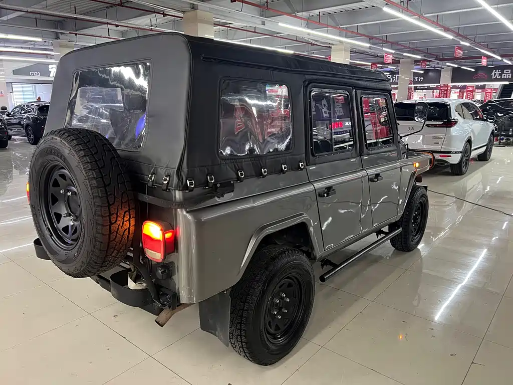BAW 212 Classic — миниатюра 5