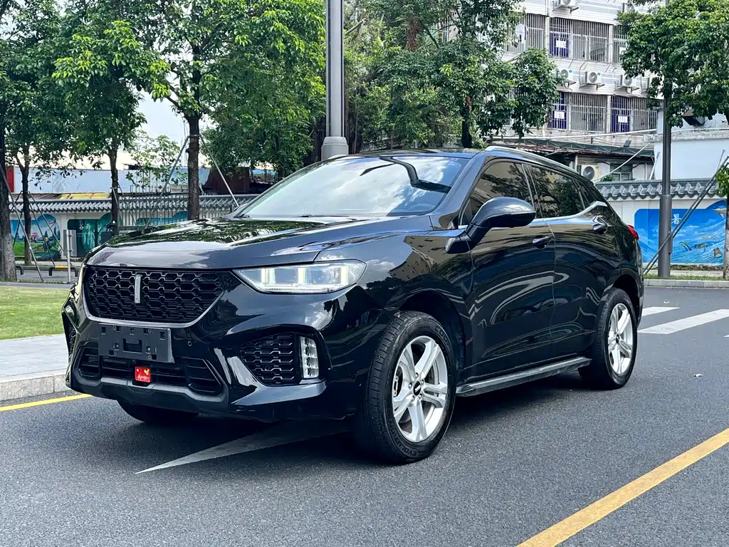 WEI PAI WEI BRAND VV5