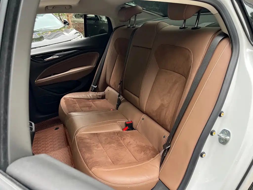 Buick Regal — миниатюра 10