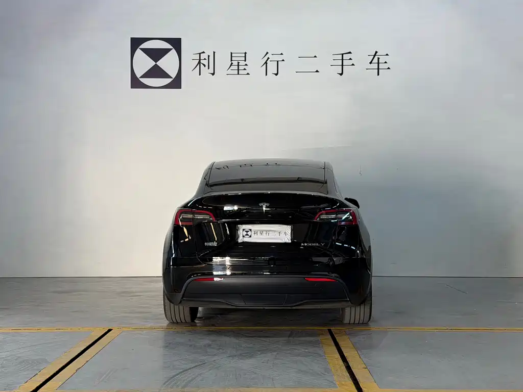Tesla Model Y — миниатюра 16