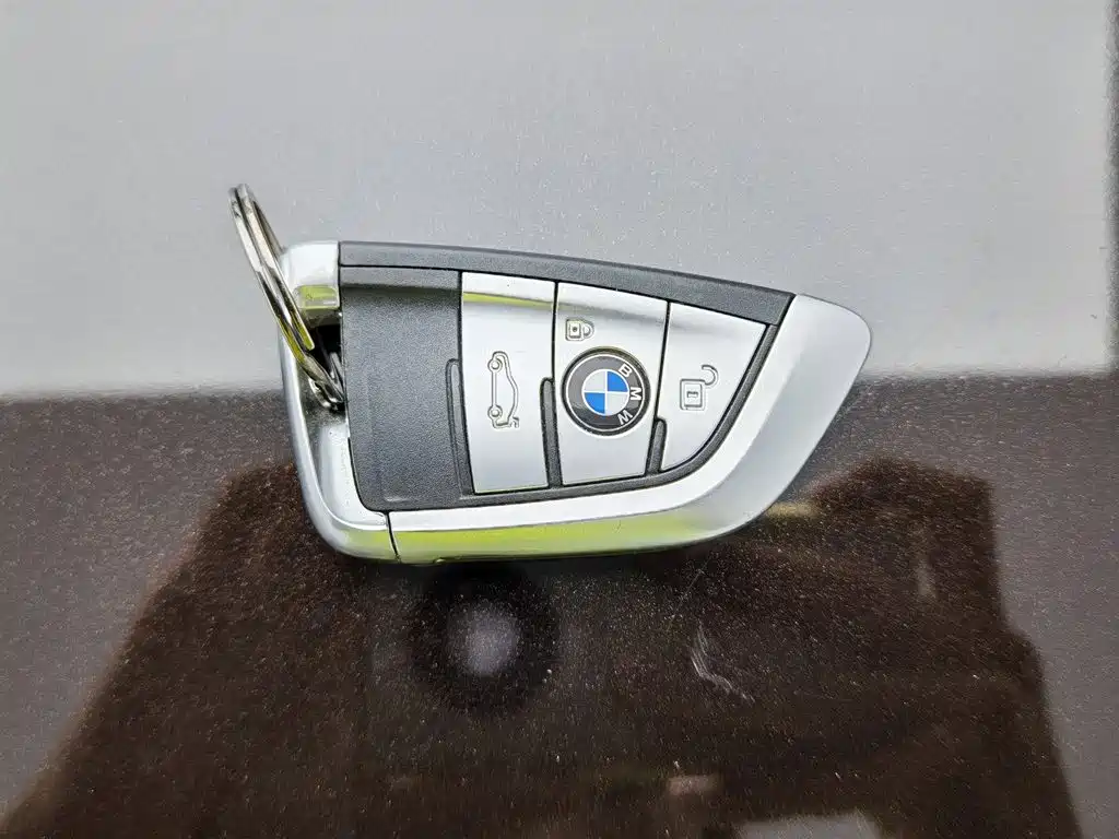 BMW X5 (Import) — миниатюра 19