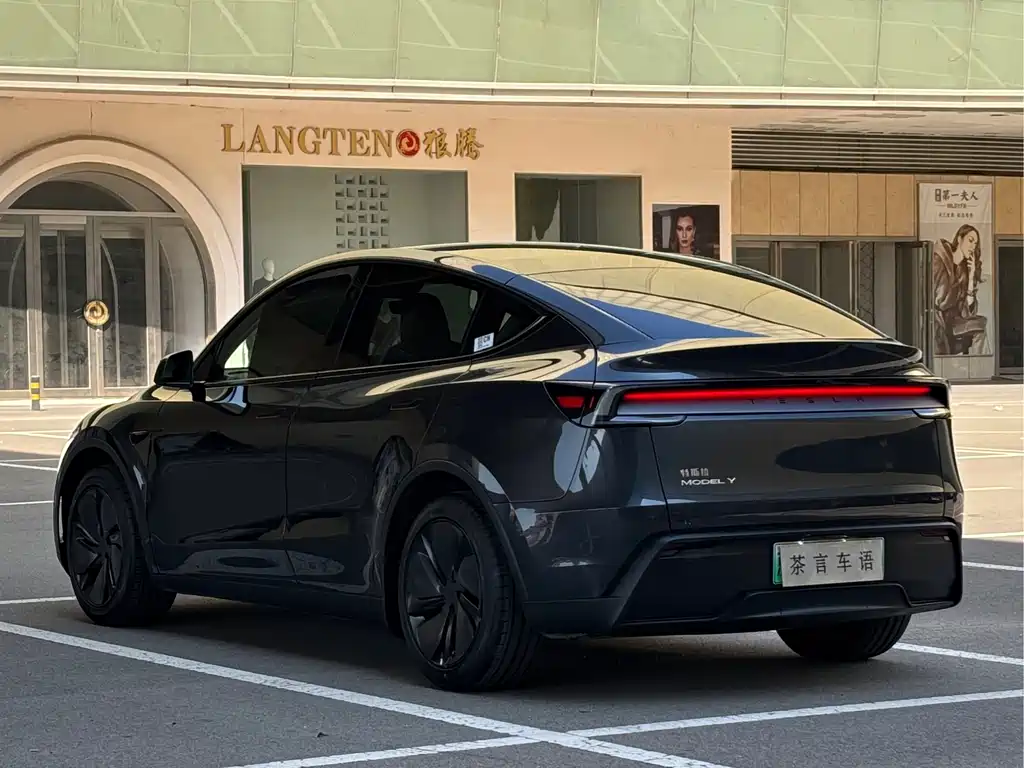 Tesla Model Y — миниатюра 6