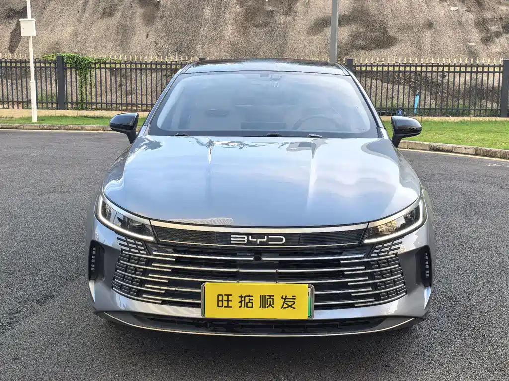 BYD Destroyer 05 — миниатюра 2
