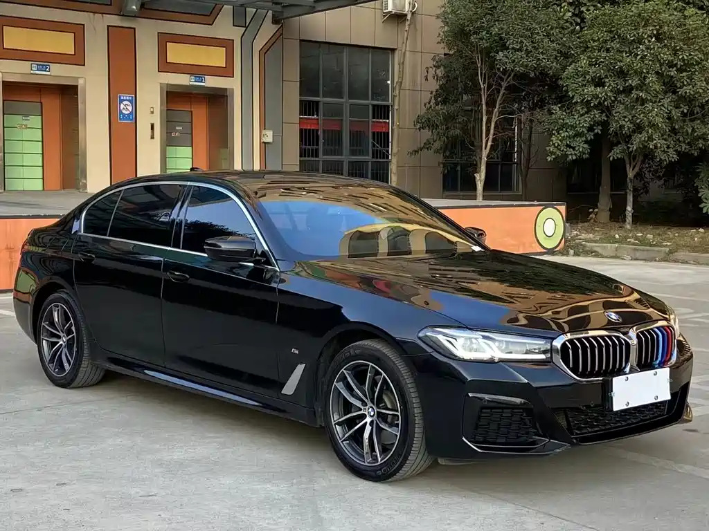 BMW 5 SERIES