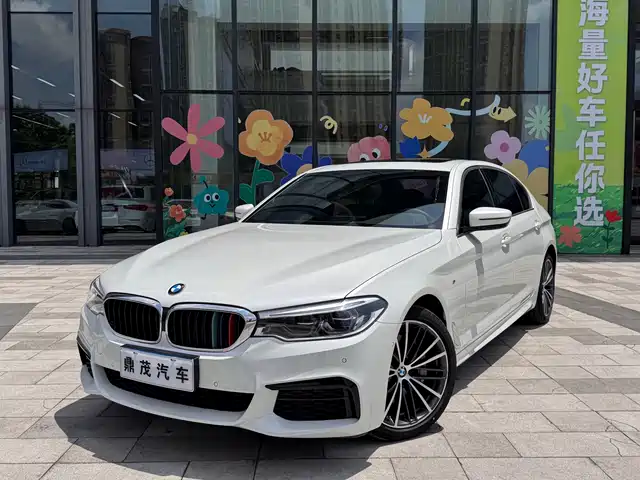 BMW  5 SERIES 2020