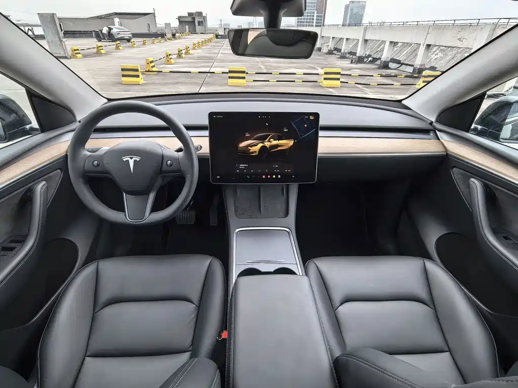 Tesla Model Y — миниатюра 13