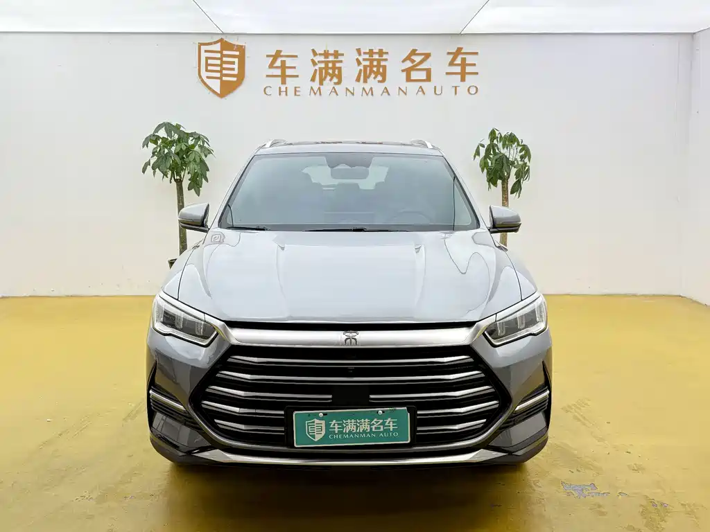 BYD Pro New Energy — миниатюра 2