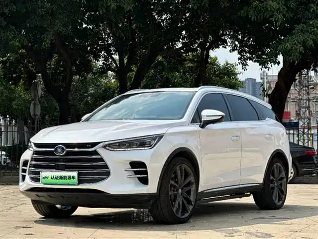 BYD TANGXIN ENERGY 2019