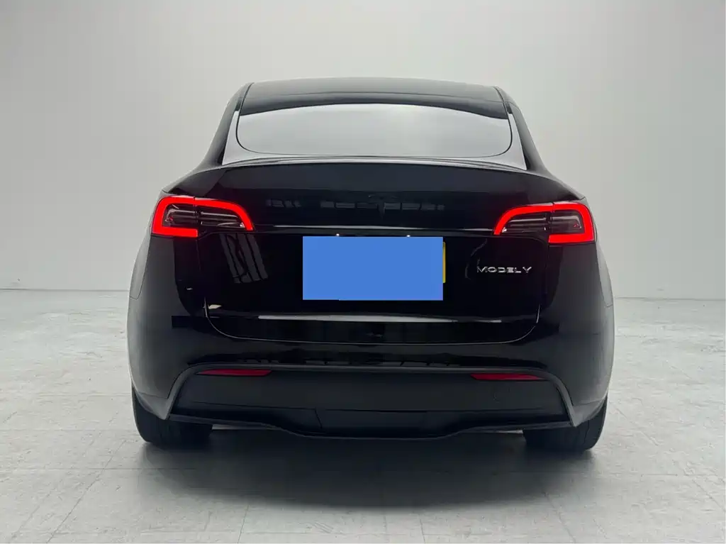 Tesla Model Y — миниатюра 4
