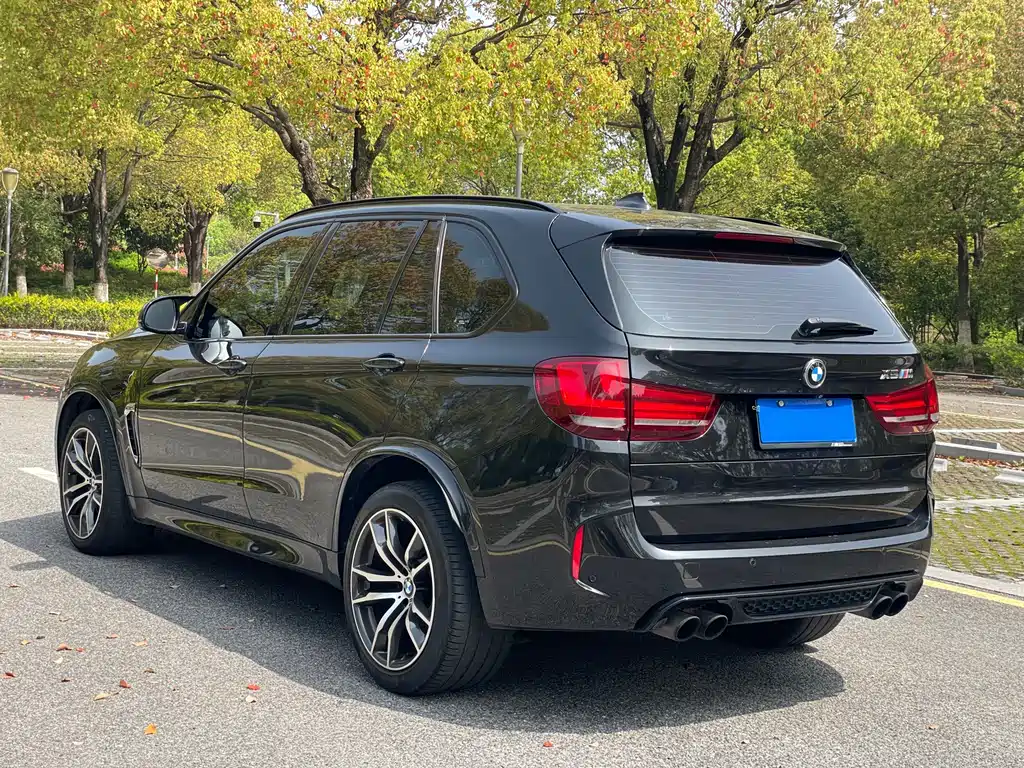 BMW X5 M 2013 X5 M