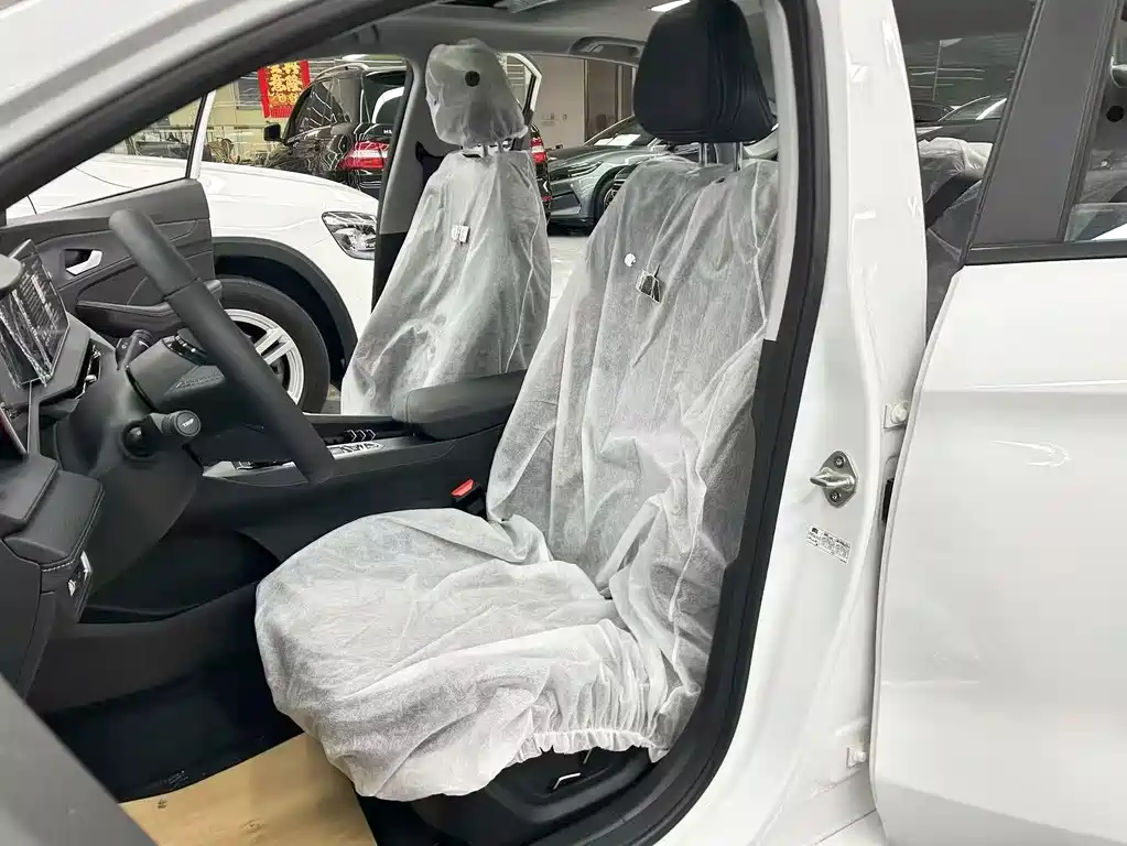 GEELY AUTOMOBILE BINRUI