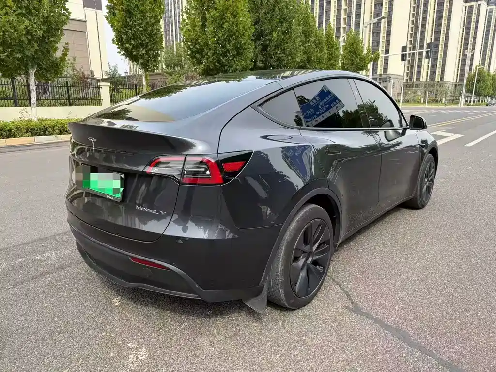 Tesla Model Y — миниатюра 4