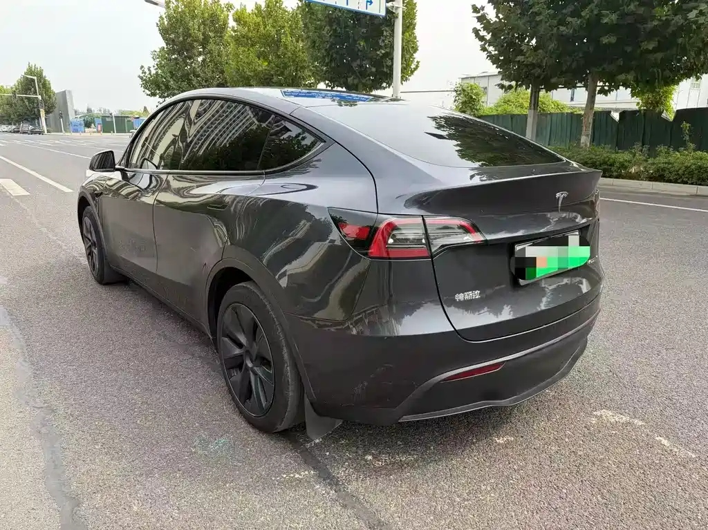 Tesla Model Y — миниатюра 6