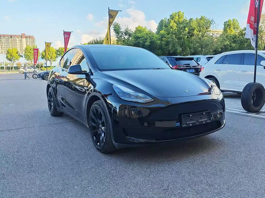 Tesla Model Y — миниатюра 2