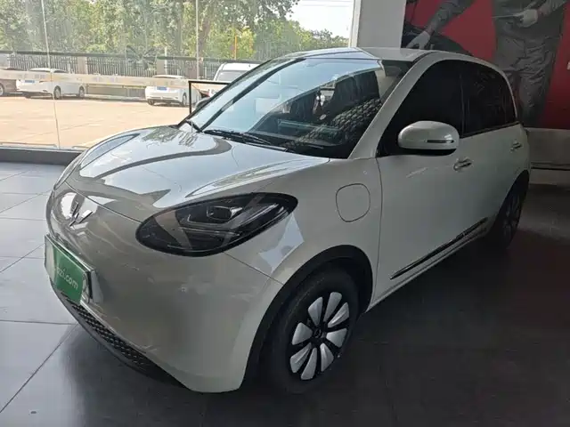 2024 Wuling Motors Binguo