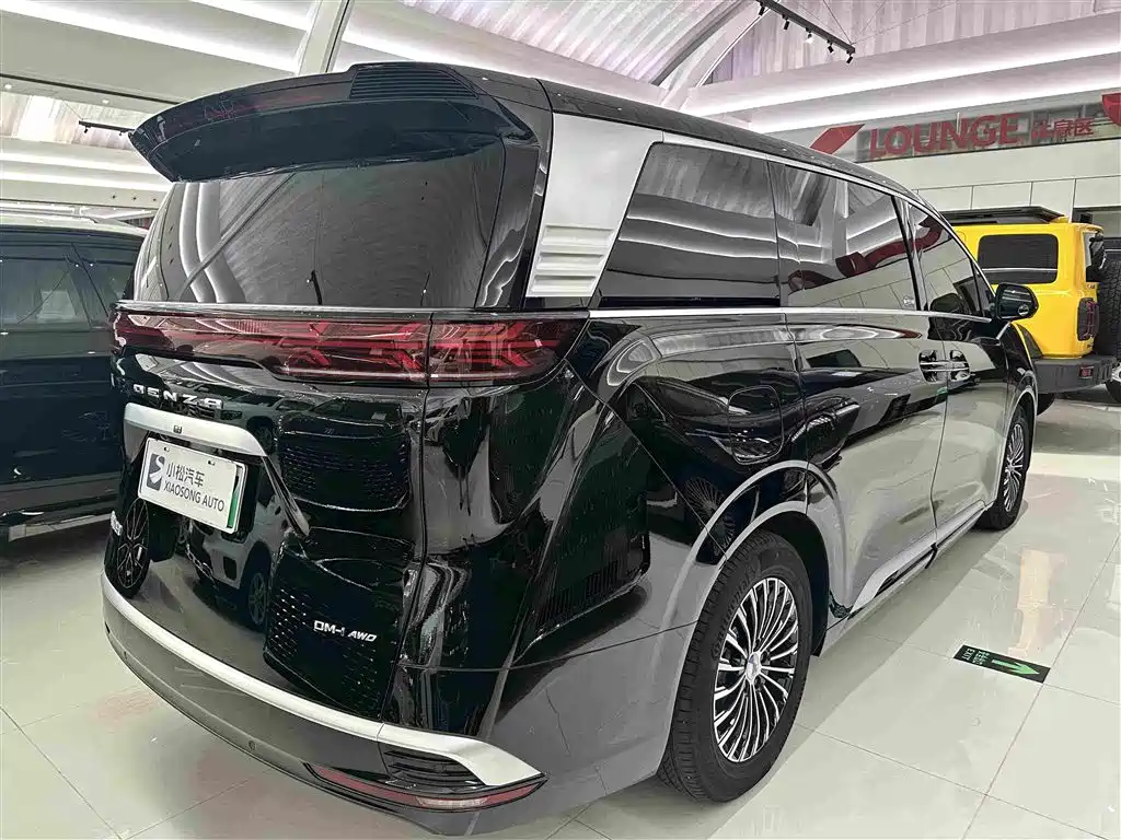 Denza Denza D9 — миниатюра 19