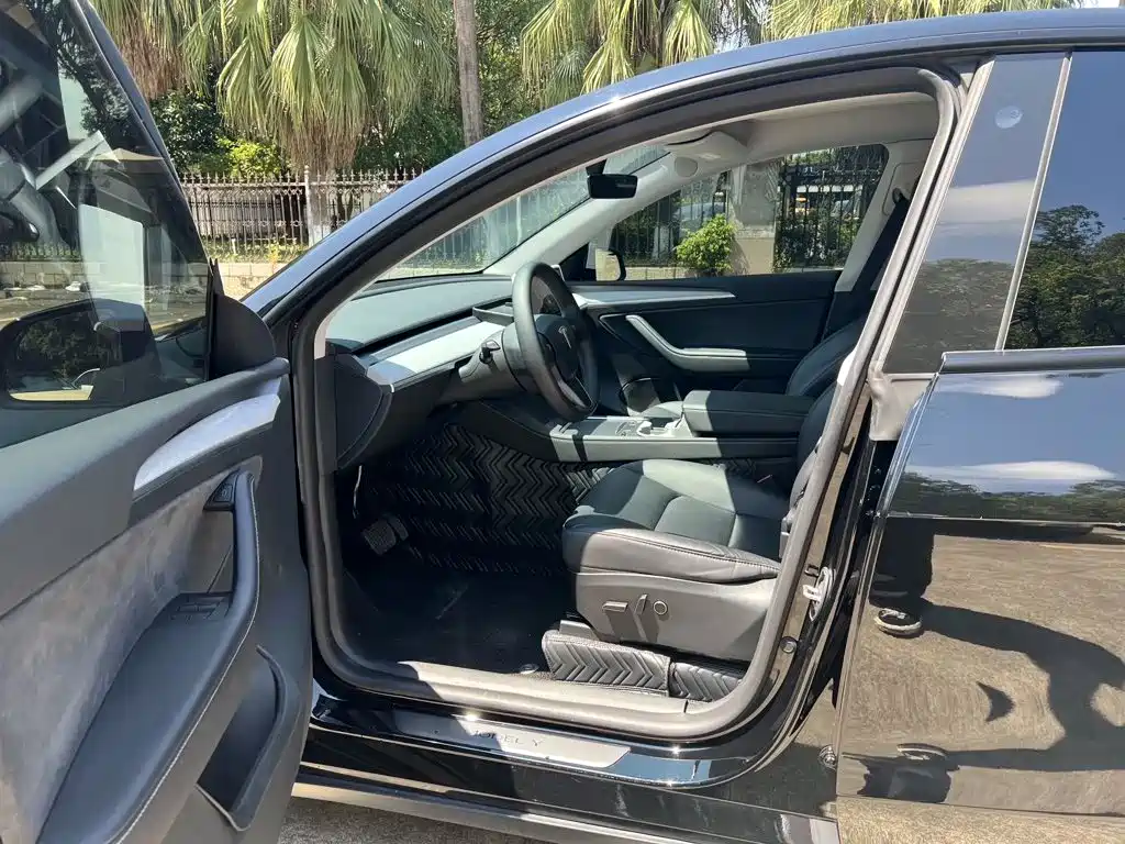 Tesla Model Y — миниатюра 6