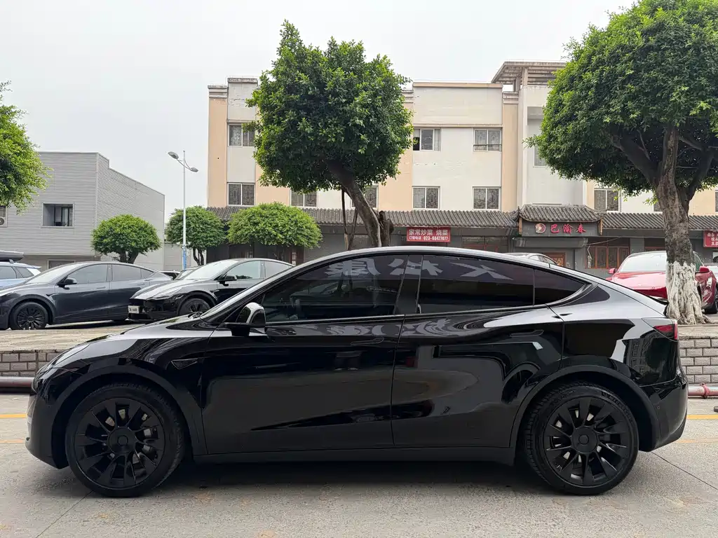 Tesla Model Y — миниатюра 4