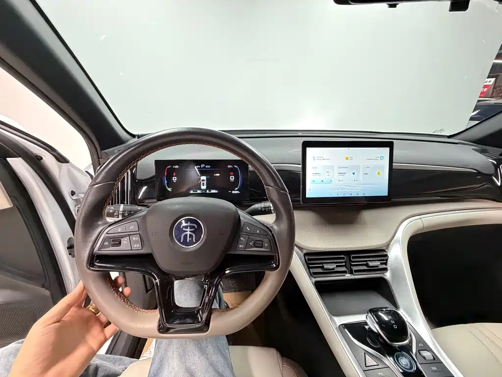 BYD Pro New Energy — миниатюра 13