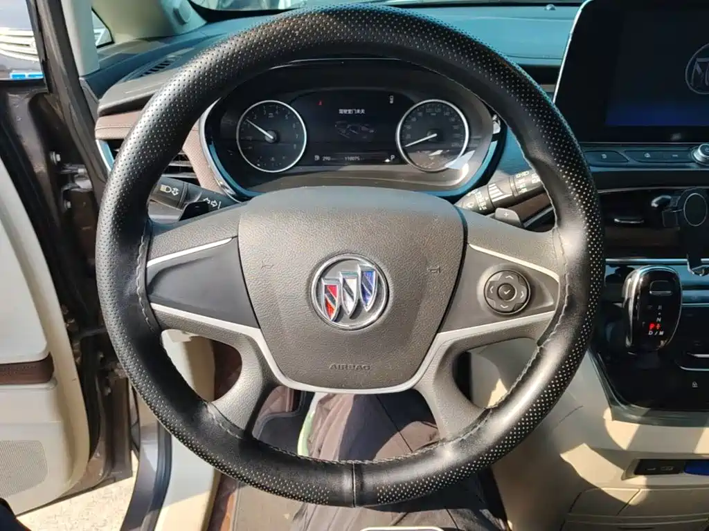 Buick GL8 — миниатюра 11