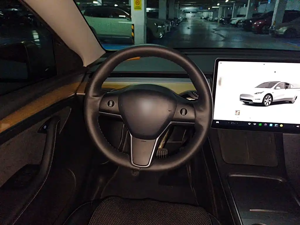 Tesla Model Y — миниатюра 3