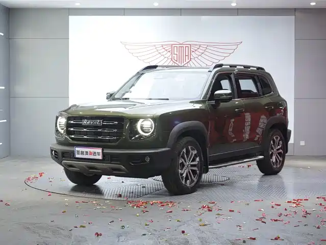 HAVAL  BIG DOG 2021