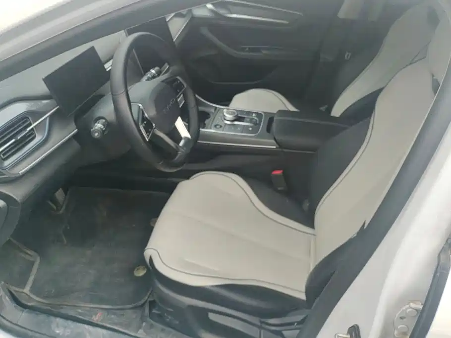 BYD Destroyer 05 2023 Champion DM-i 55KM Luxury