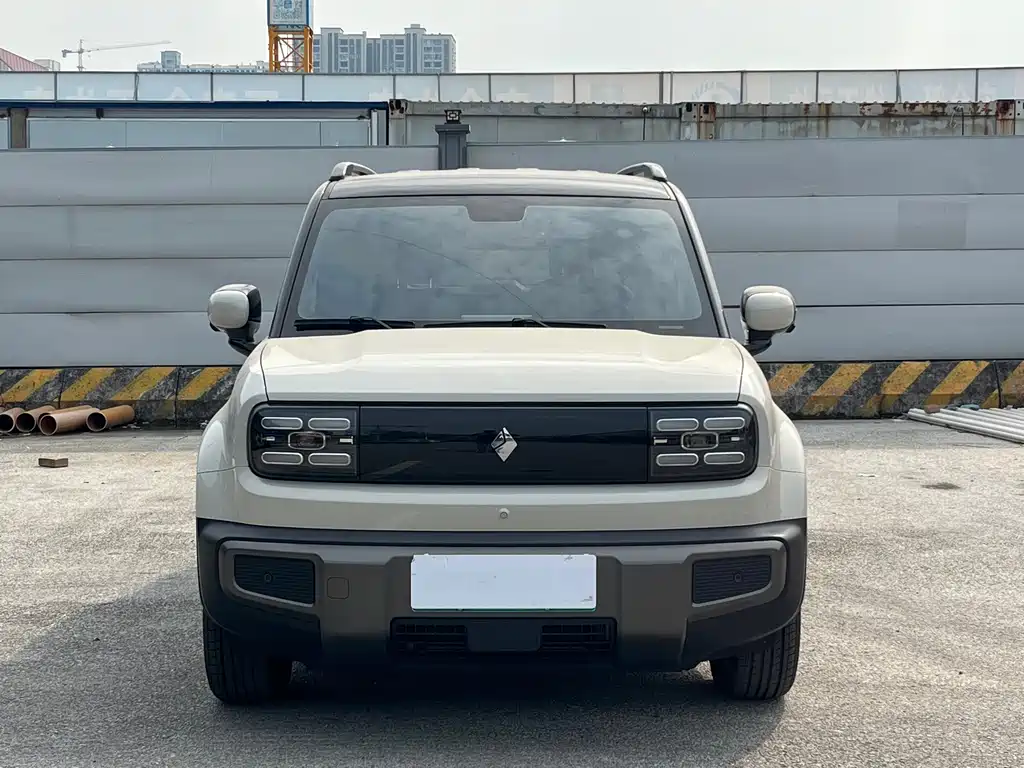 BAOJUN YUE ALSO PLUS