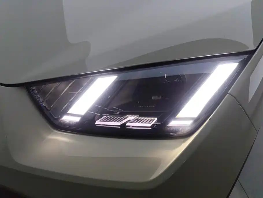 BYD Seagull 2025 305km Freedom