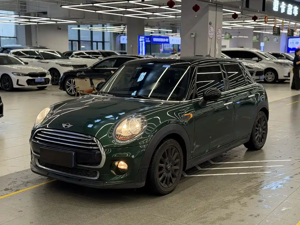 Mini Mini 2017