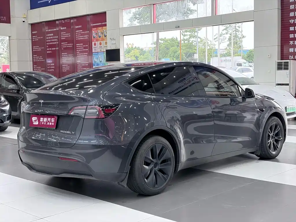 Tesla Model Y — миниатюра 4
