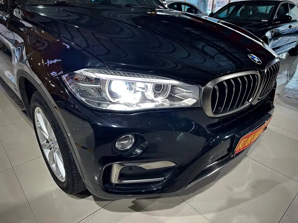 BMW X6 xDrive28i, фото 8