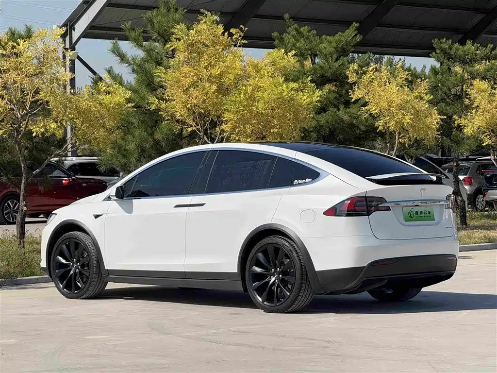 Tesla Model X — миниатюра 25