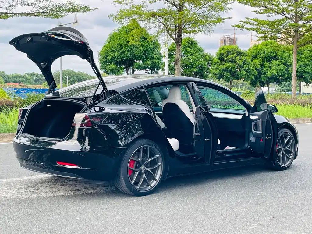 Tesla Model 3 — миниатюра 11