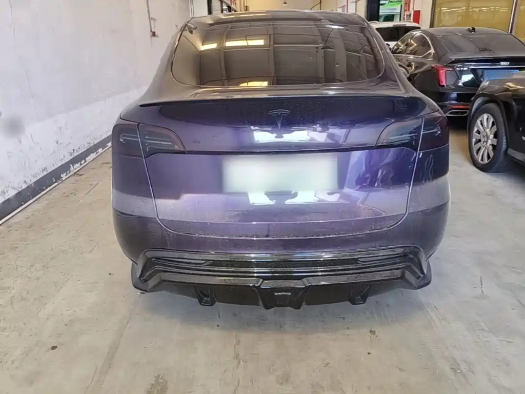 Tesla Model Y — миниатюра 6
