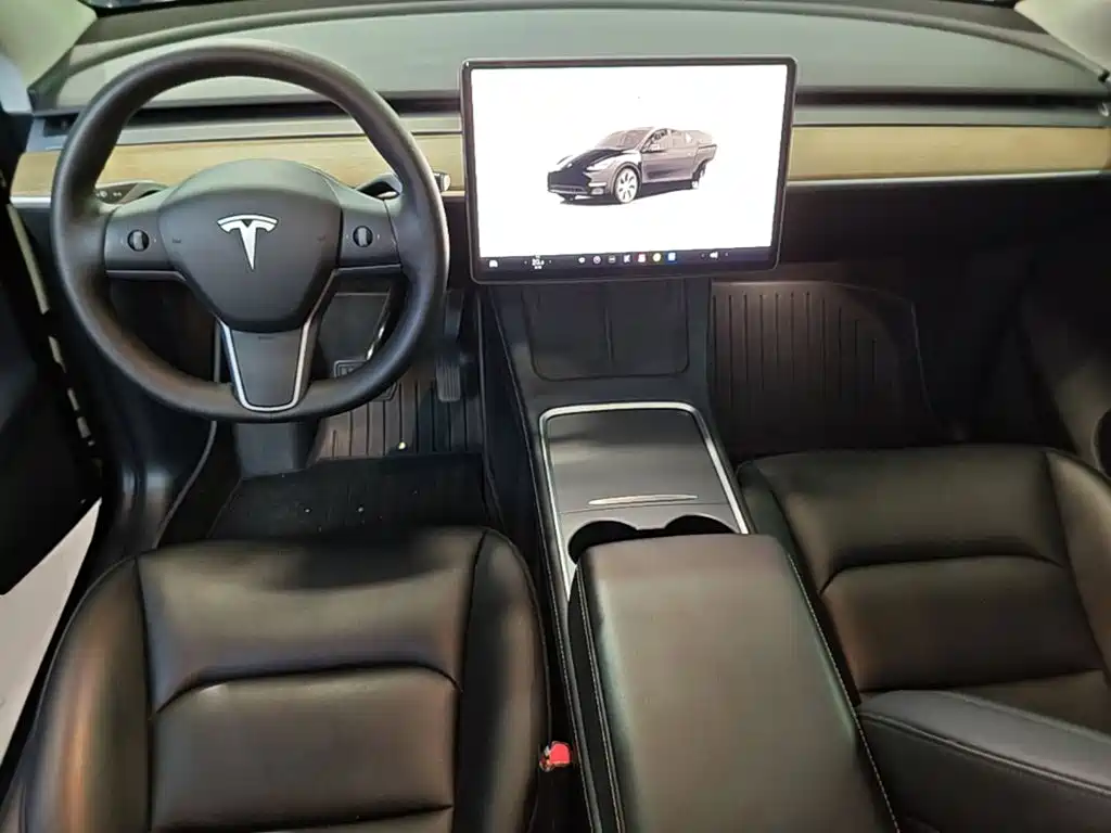 Tesla Model Y — миниатюра 10