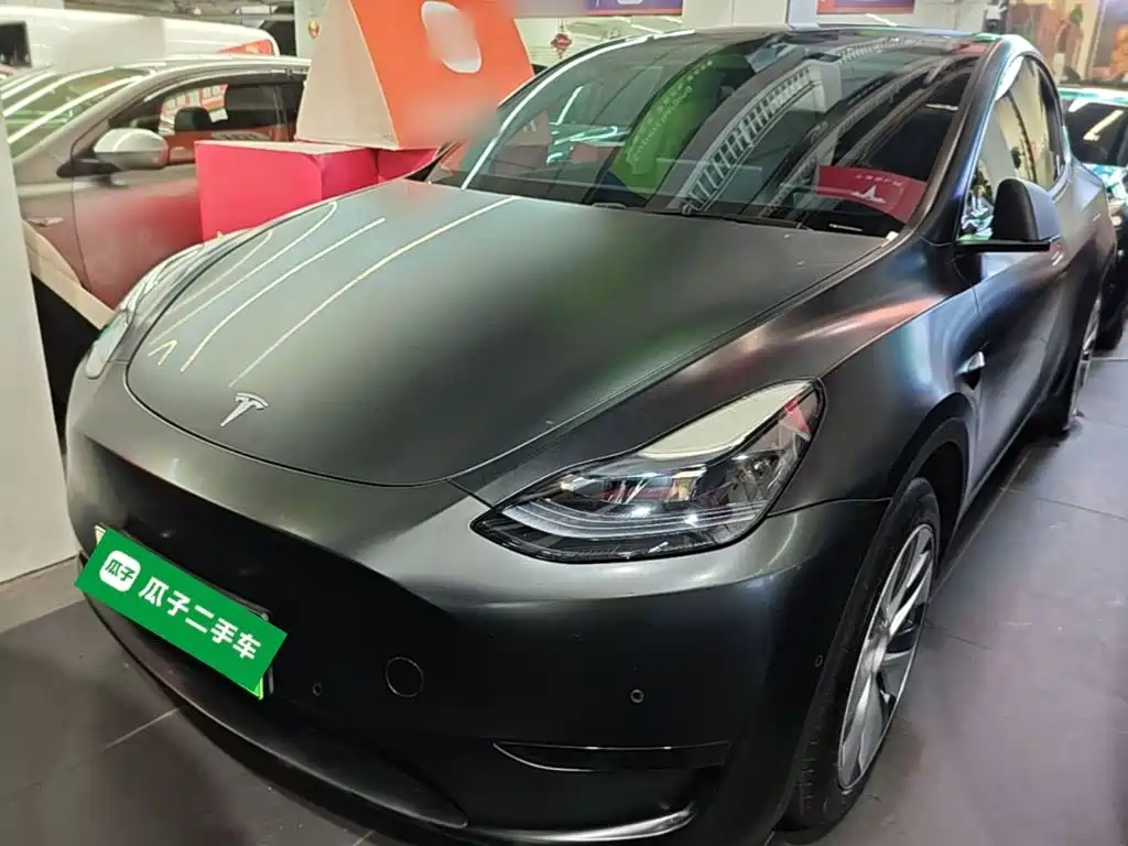Tesla Model Y — миниатюра 2