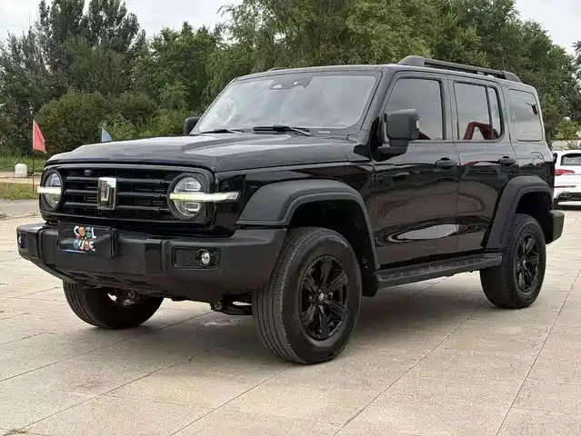 Tank 300