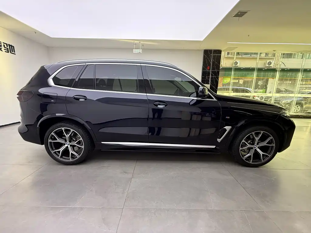 BMW X5 — миниатюра 11