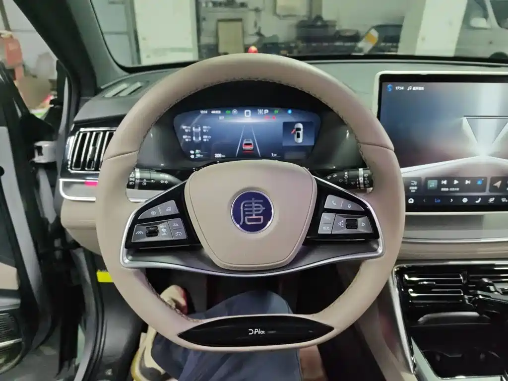BYD Tang New Energy — миниатюра 14