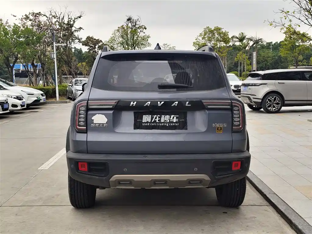 HAVAL BIG DOG