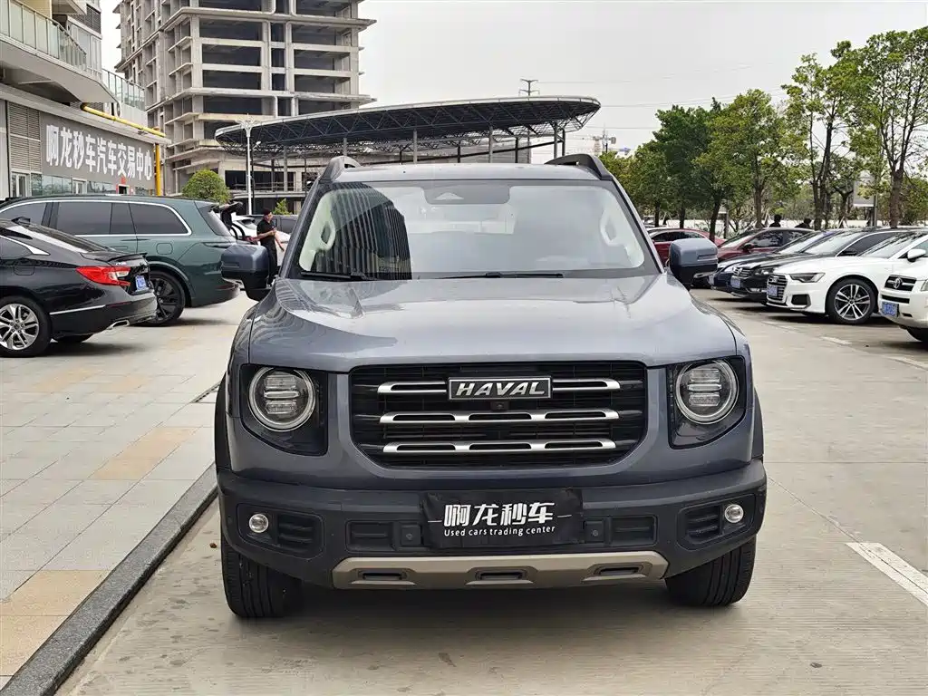 HAVAL BIG DOG