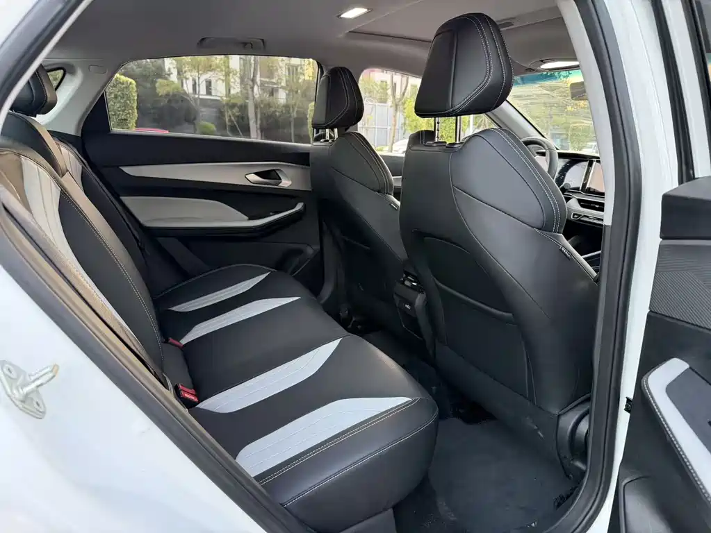 GEELY AUTOMOBILE BINRUI