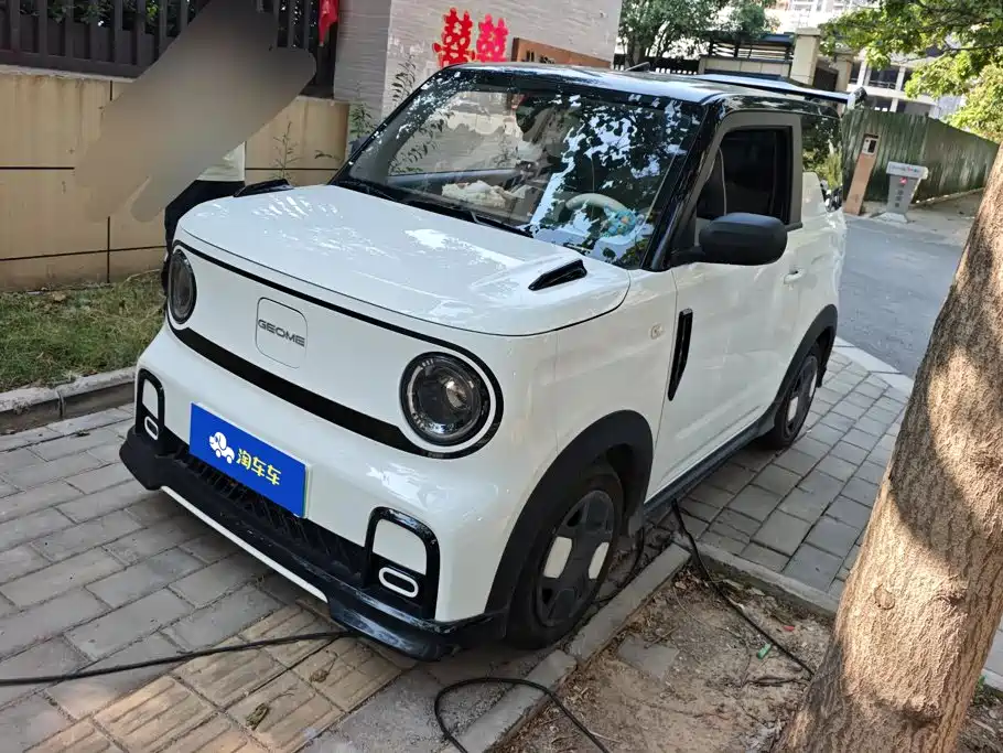 Galaxy Panda