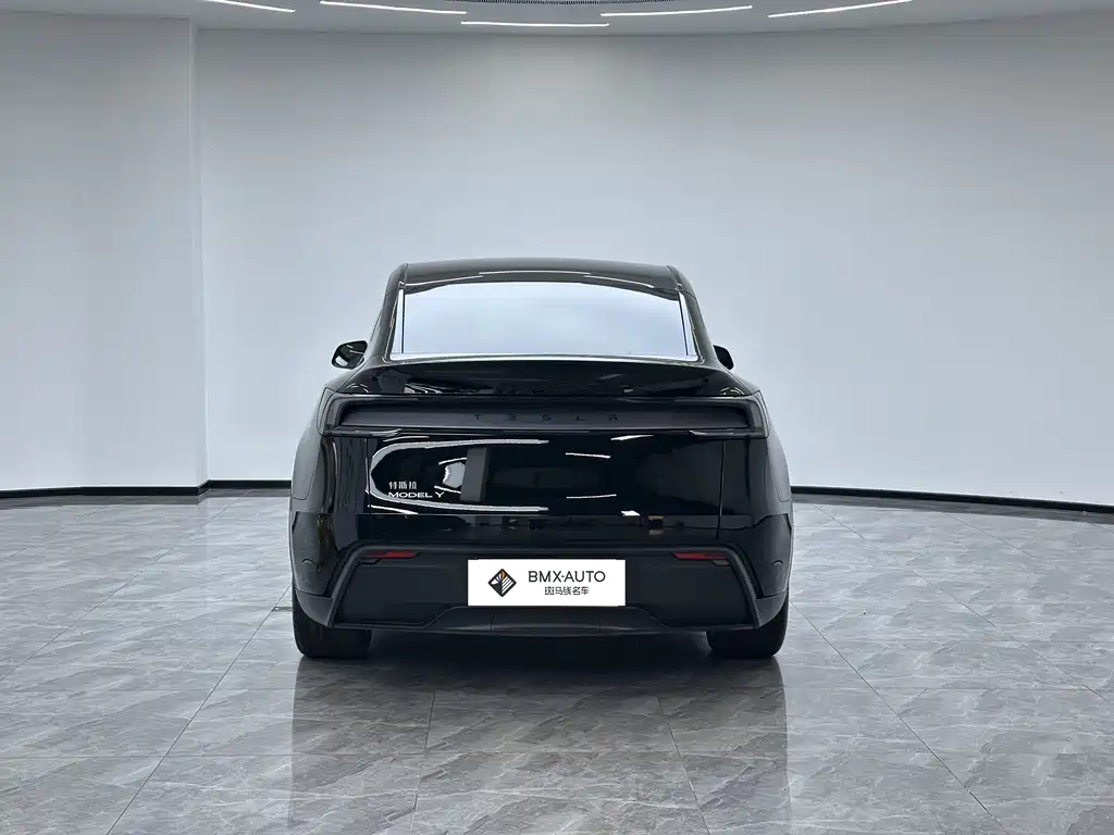 Tesla Model Y — миниатюра 3