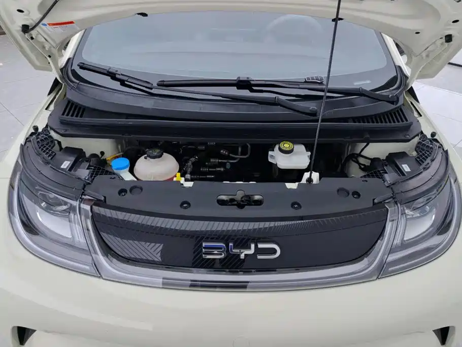 BYD Dolphin — миниатюра 10