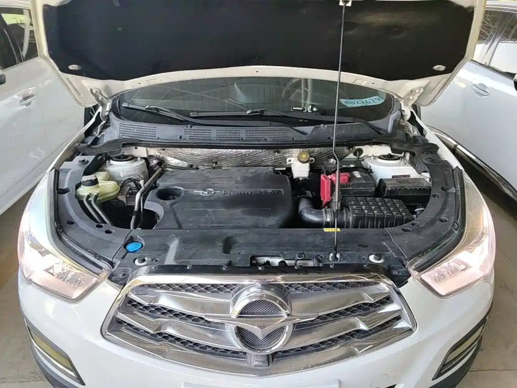 Haima Haima S5 — миниатюра 20