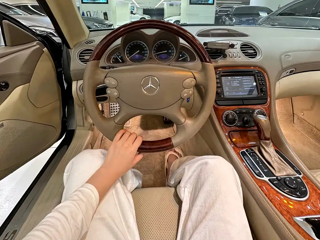Mercedes-Benz SL 2004 SL 500