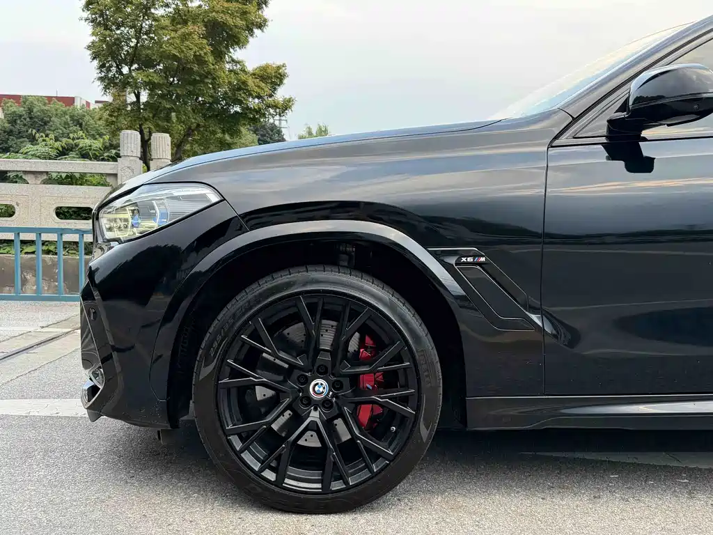 BMW X6 M — миниатюра 23