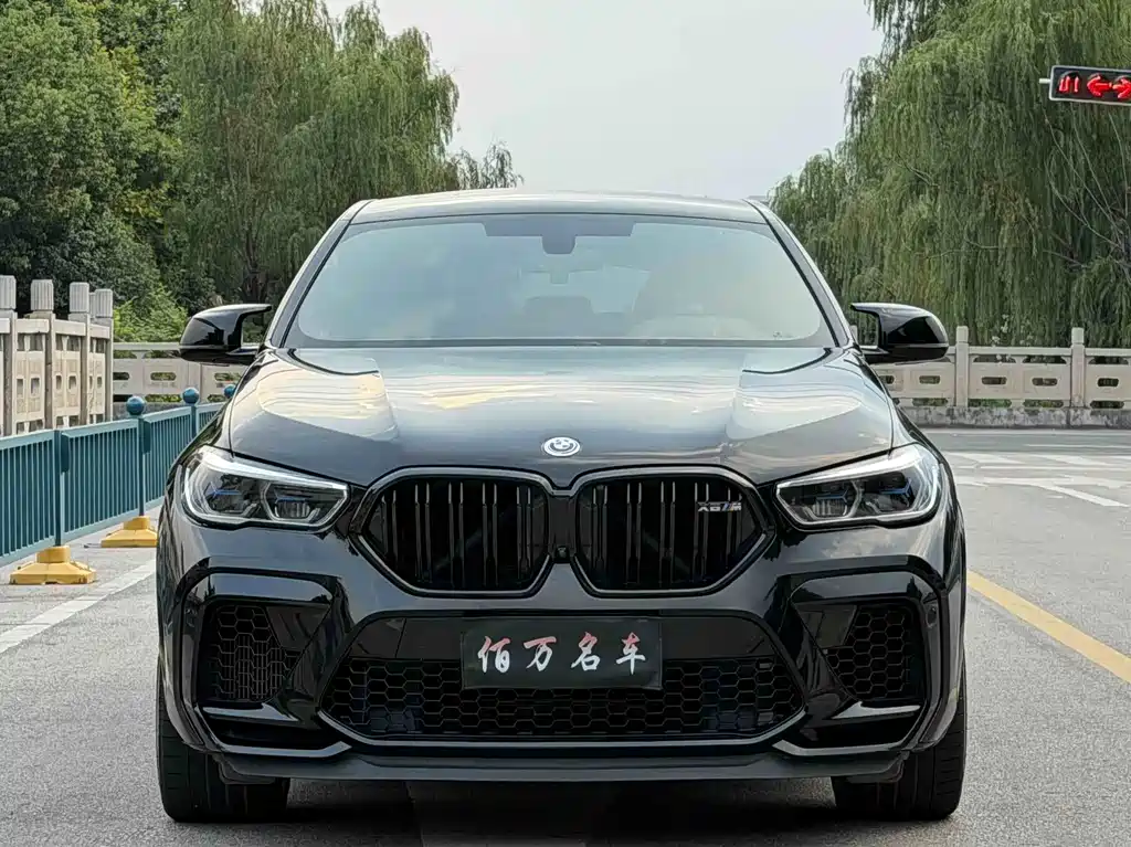 BMW X6 M — миниатюра 2